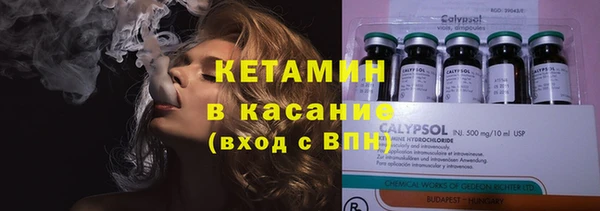 дурь Няндома