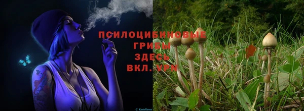 экстази Алзамай