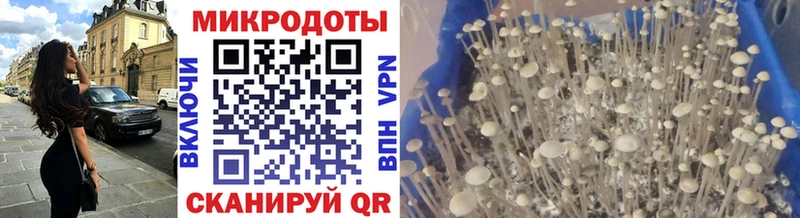 Галлюциногенные грибы MAGIC MUSHROOMS наркошоп Лиски
