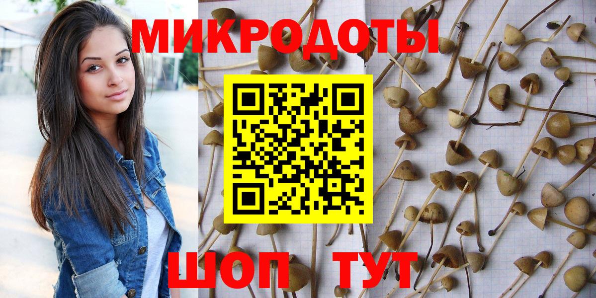 Псилоцибиновые грибы Psilocybine cubensis  Вход с VPN  Лиски  Галлюциногенные грибы ЛСД 