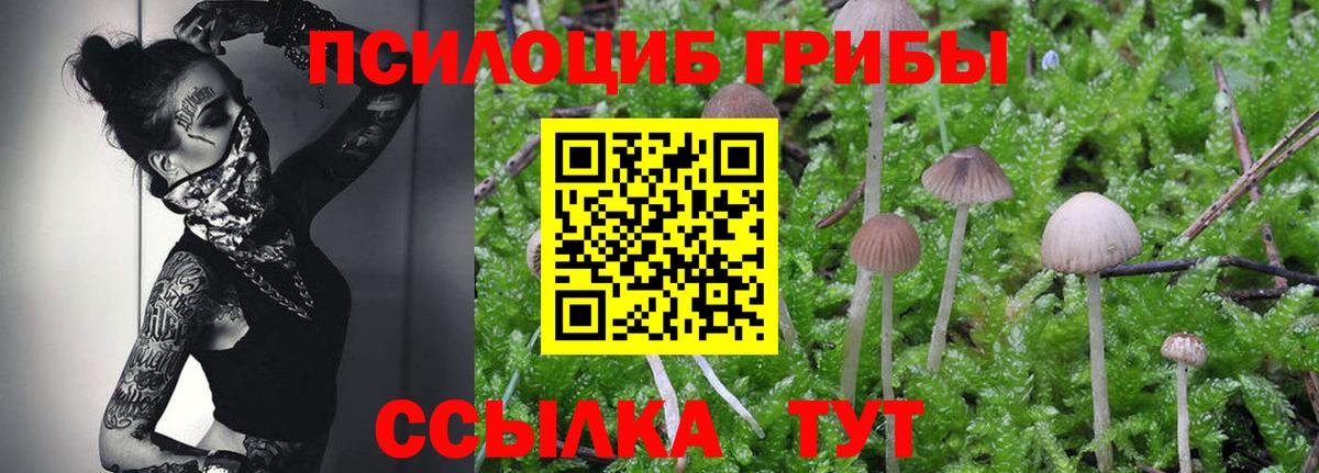 Псилоцибиновые грибы Magic Shrooms Лиски